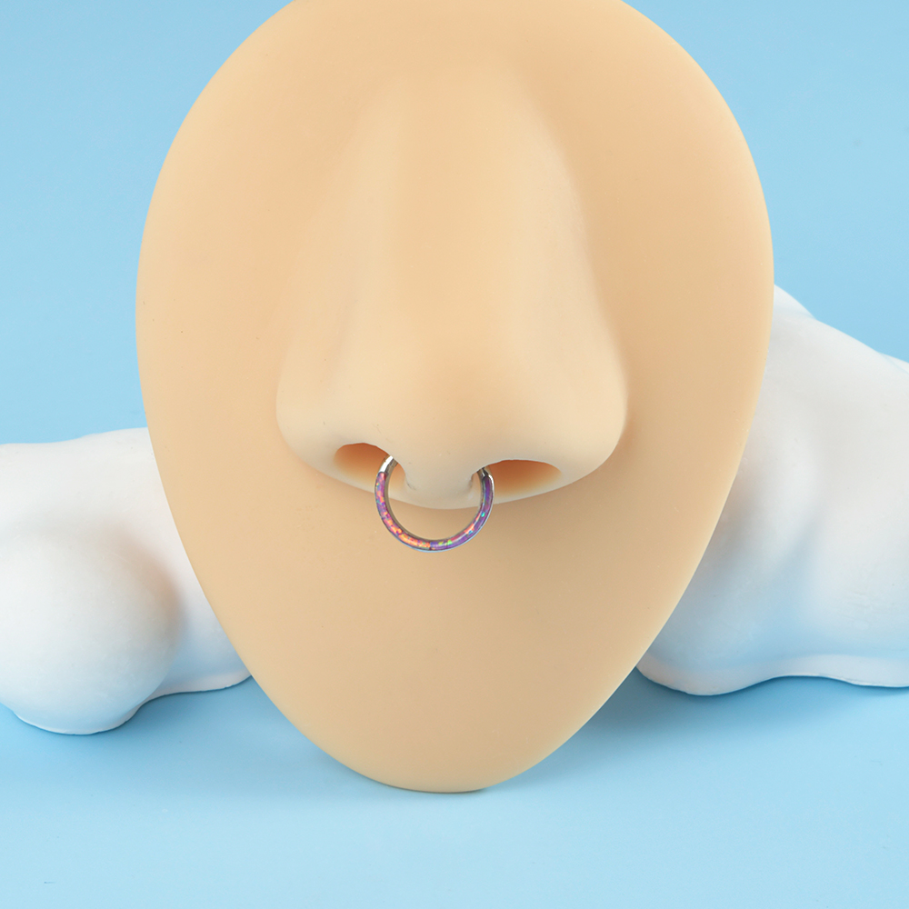 1 шт., перегородка для носа, и – обзор и цена Body Jewelry Quality