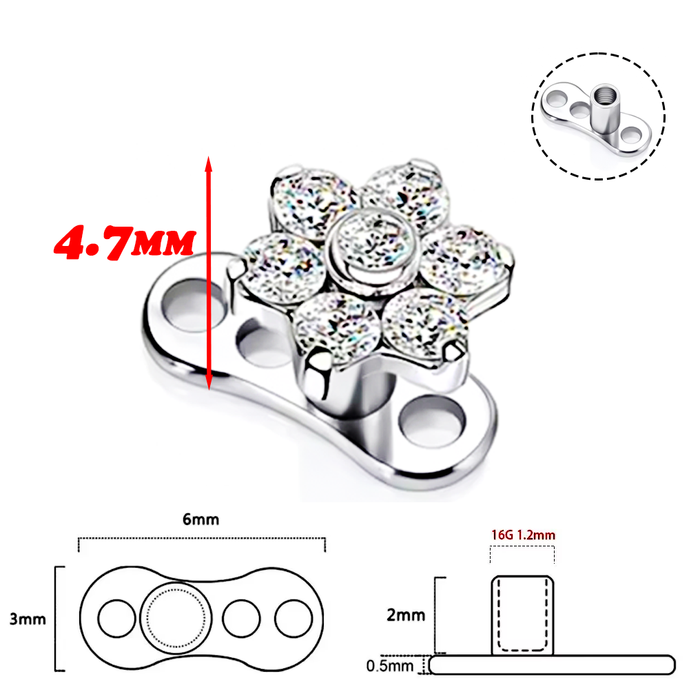 F136 Высококачественный титано – обзор и цена Body Jewelry Quality